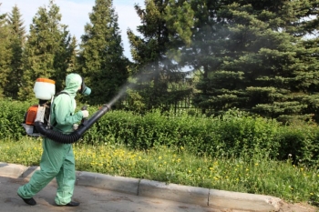 Уничтожение комаров в Ивантеевке